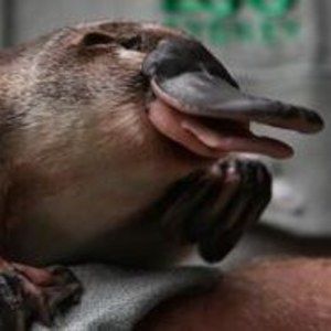 Meet your Posher, Juan